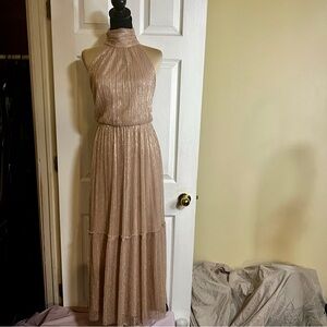 Eliza J Wms Champagne Sparkle Metallic Pleated Mesh Formal Party Maxi Dress 6